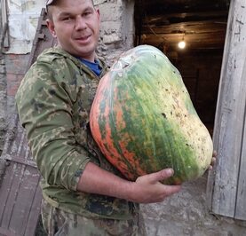 Сява
