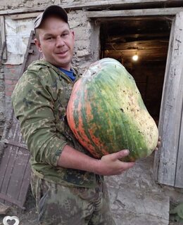 Сява